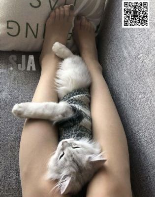 亚洲欧洲日韩国产精品妖精_电视剧完整版在线观看